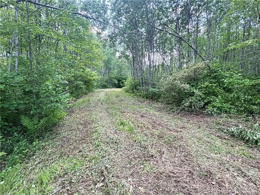 486.02 Acres Cemetery Road, Radisson, WI 54867 - Image #2