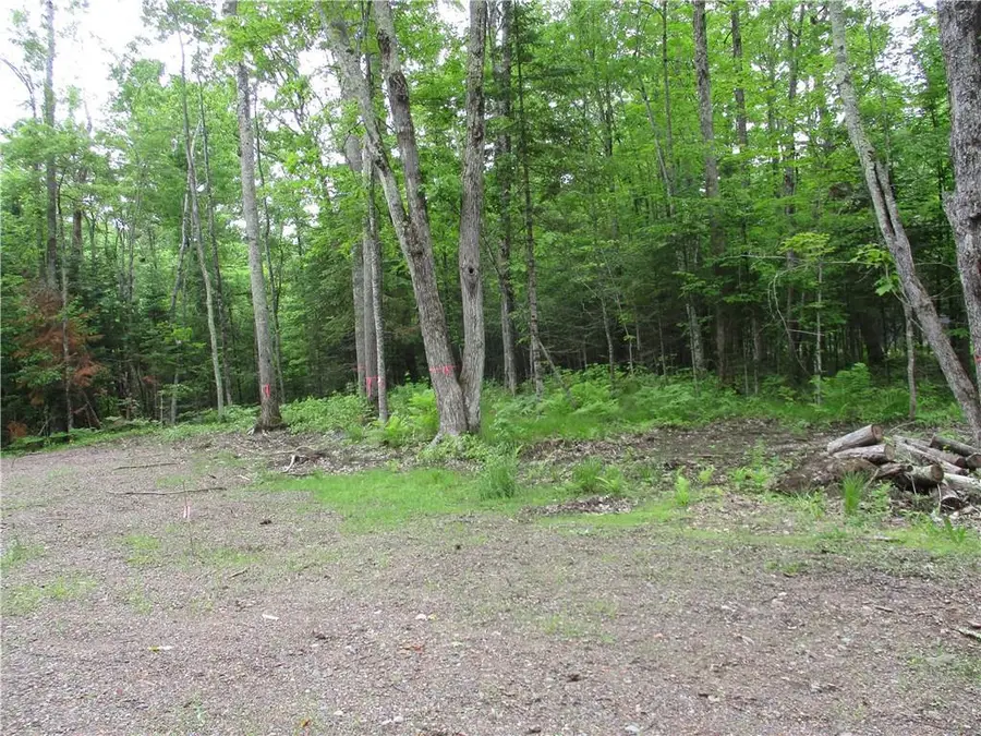 2975 28 1/2 Street, Birchwood, WI 54817 - Image #2