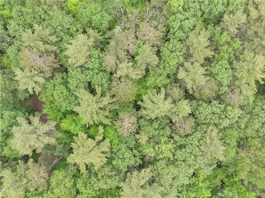 Lots 1-6, 35-40 John Ericsson Avenue, Hayward, WI 54843 - Image #2