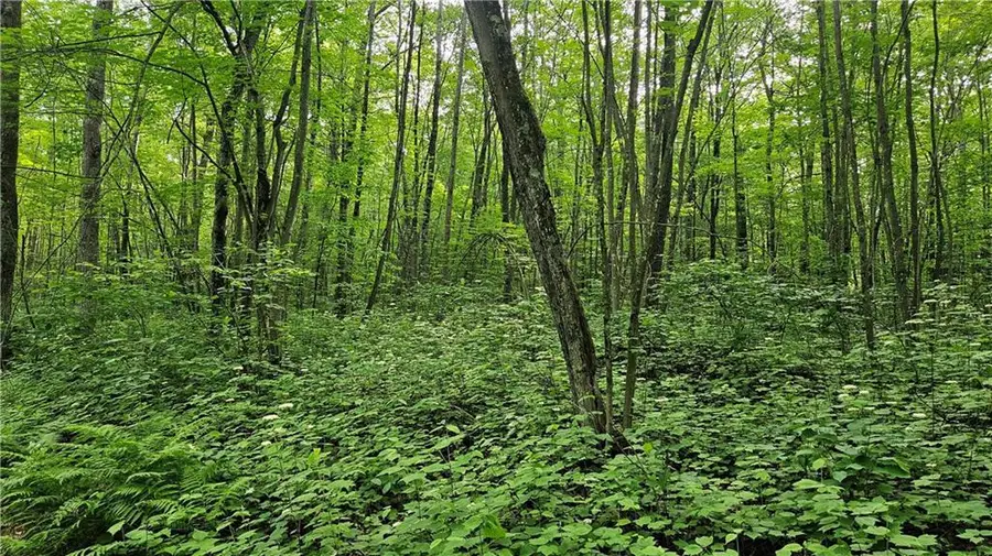 Lots 17-32 Indian Drive, Hayward, WI 54843 - Image #2