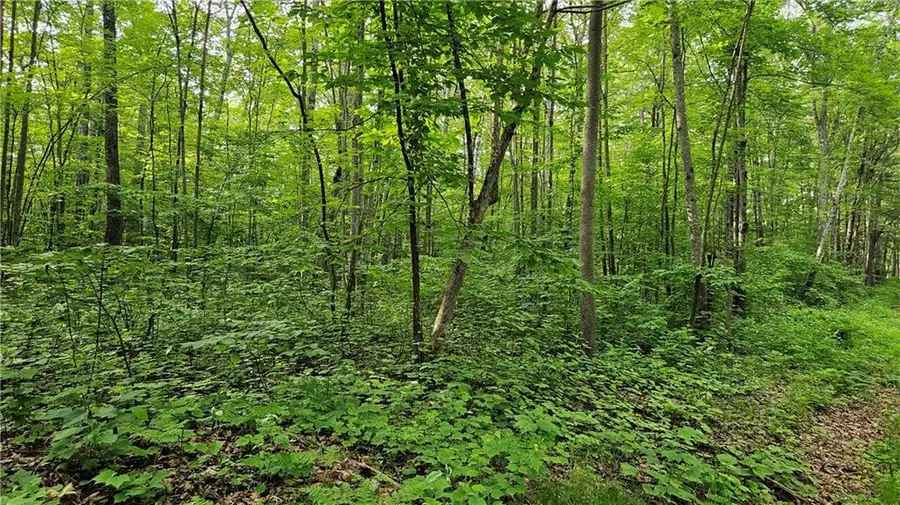 Lots 17-32 Indian Drive, Hayward, WI 54843 - Image #3