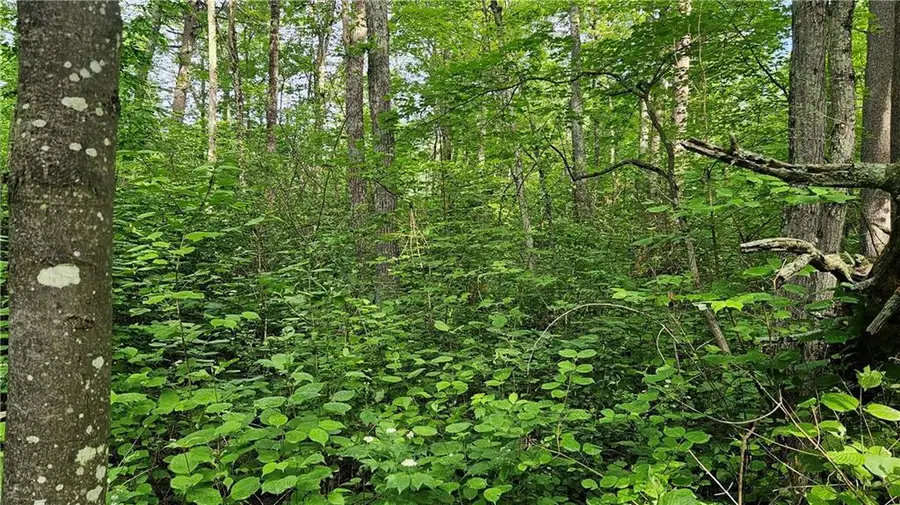 Lots 13-20, 23-28 Woodland Avenue, Hayward, WI 54843 - Image #2