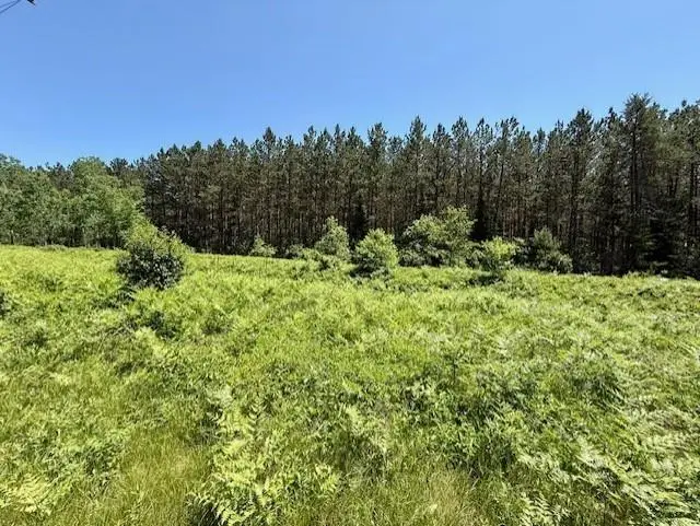 0 Brook Lane, Hayward Town, MN 54843 - Image #2