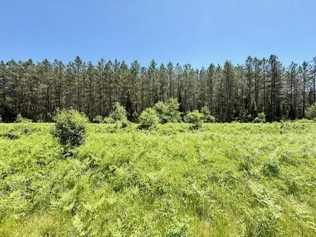 Lot 60 Brook Lane, Hayward, WI 54843 - Image #1