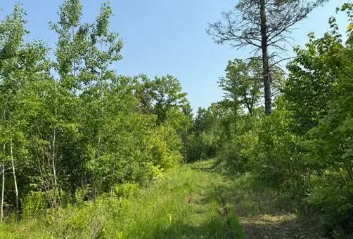 TBD County Road T, Dairyland, WI 54830 - #1