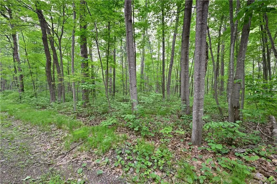 Lot 3 Chippewa Avenue, Hayward, WI 54843 - Image #2