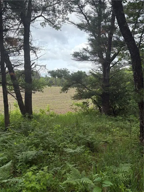 0 Walkers Road, Humbird, WI 54746 - Image #3