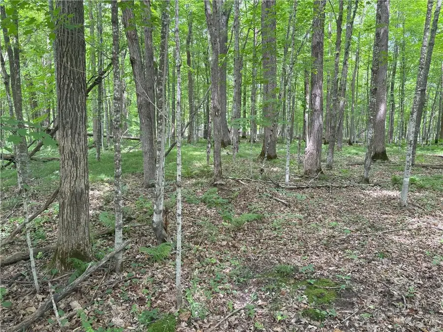 0 28 7/16-28 9/16 Street, Birchwood, WI 54817 - Image #2