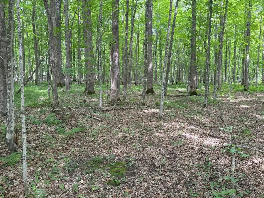 0 28 7/16-28 9/16 Street, Birchwood, WI 54817 - Image #3