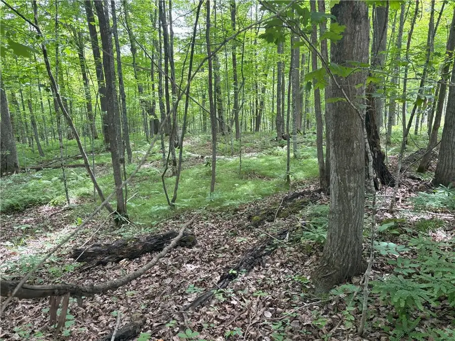 0 29 1/2 Avenue Street, Birchwood, WI 54817 - Image #2