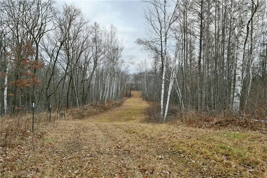 81 acres Pinnow Road, Bruce, WI 54819 - Image #2