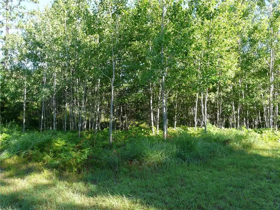 TBD Treasure Island Drive, Danbury, WI 54830 - Image #3