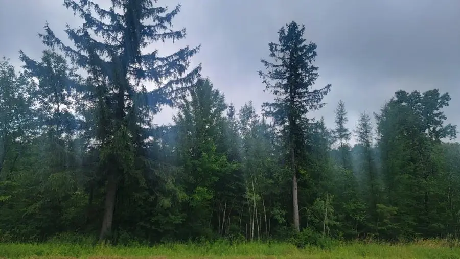 N4651 Pennington Road, Prentice, WI 54556 - Image #2