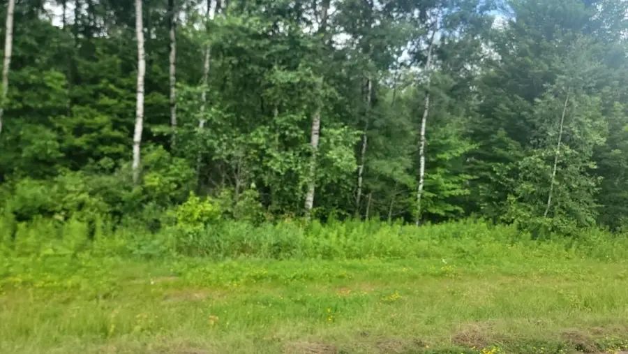 N4651 Pennington Road, Prentice, WI 54556 - Image #3