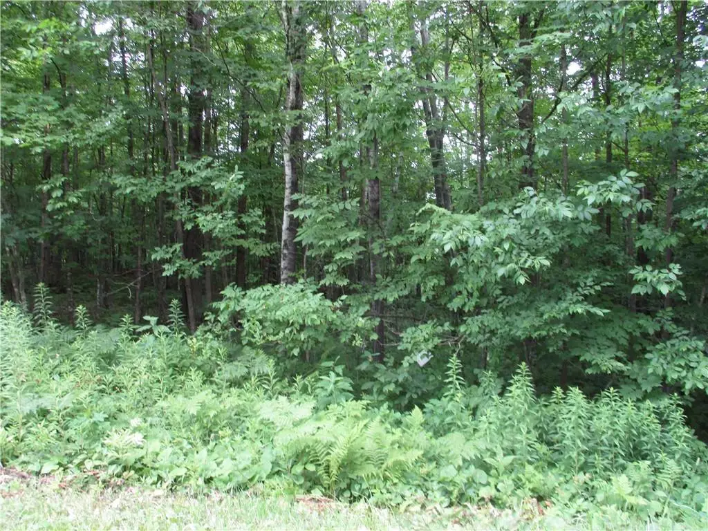 LOT #99 Woods Avenue, Birchwood, WI 54817 - Image #1