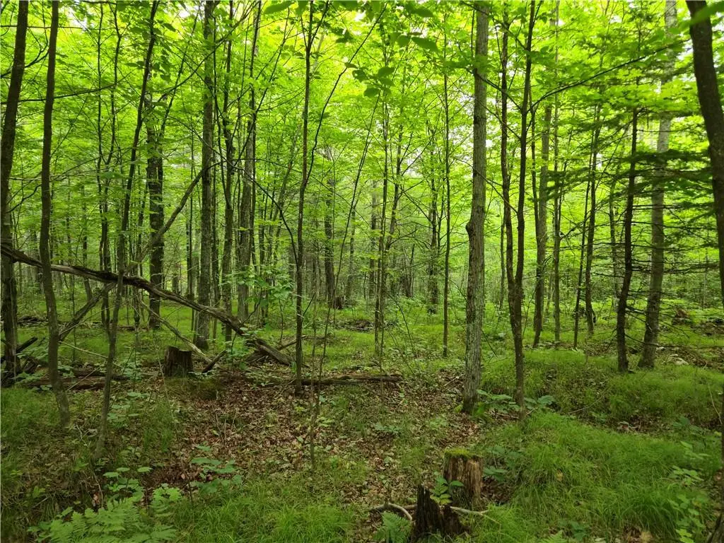 Lot 31 & 32 Woodcrest Drive, Cable, WI 54821 - Image #1