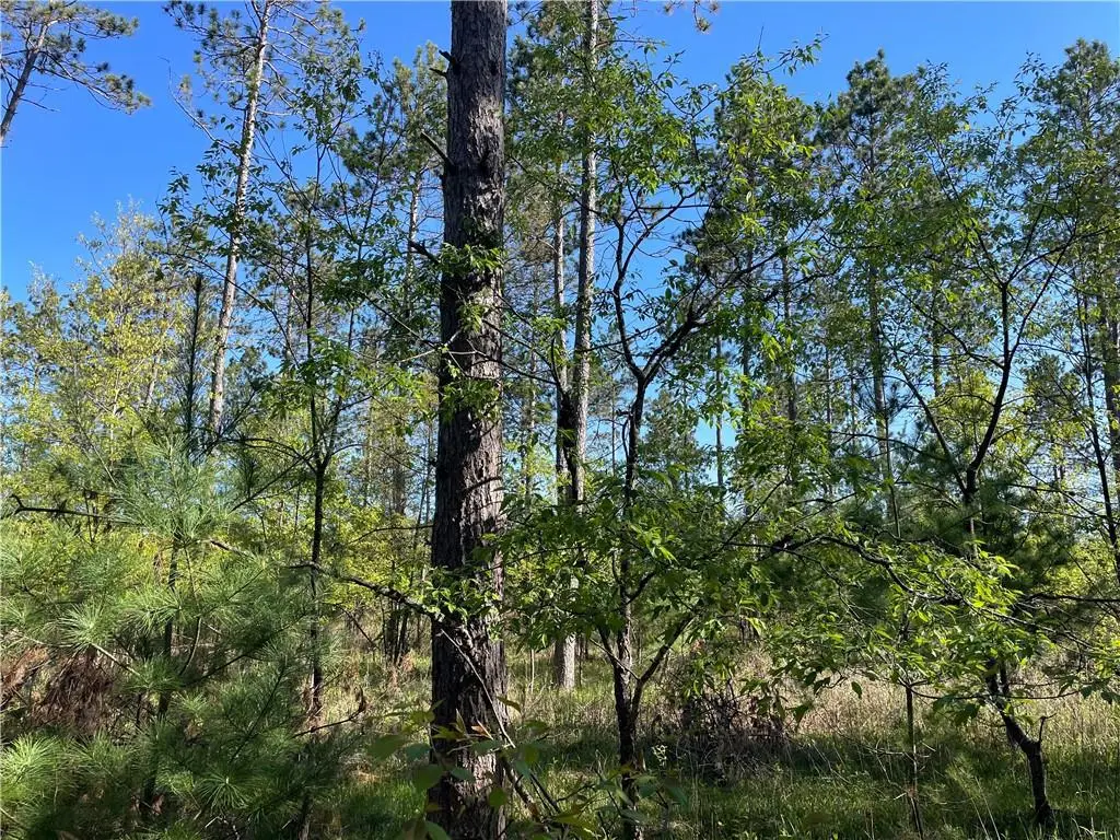 Lot 2 Murphy Boulevard, Hayward, WI 54843 - Image #1