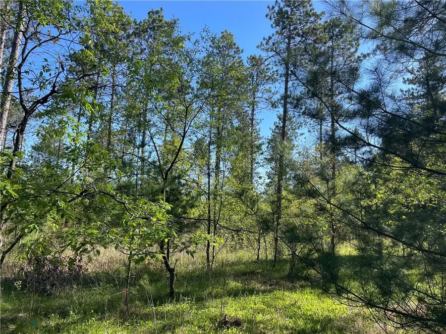 Lot 2 Murphy Boulevard, Hayward, WI 54843 - Image #2