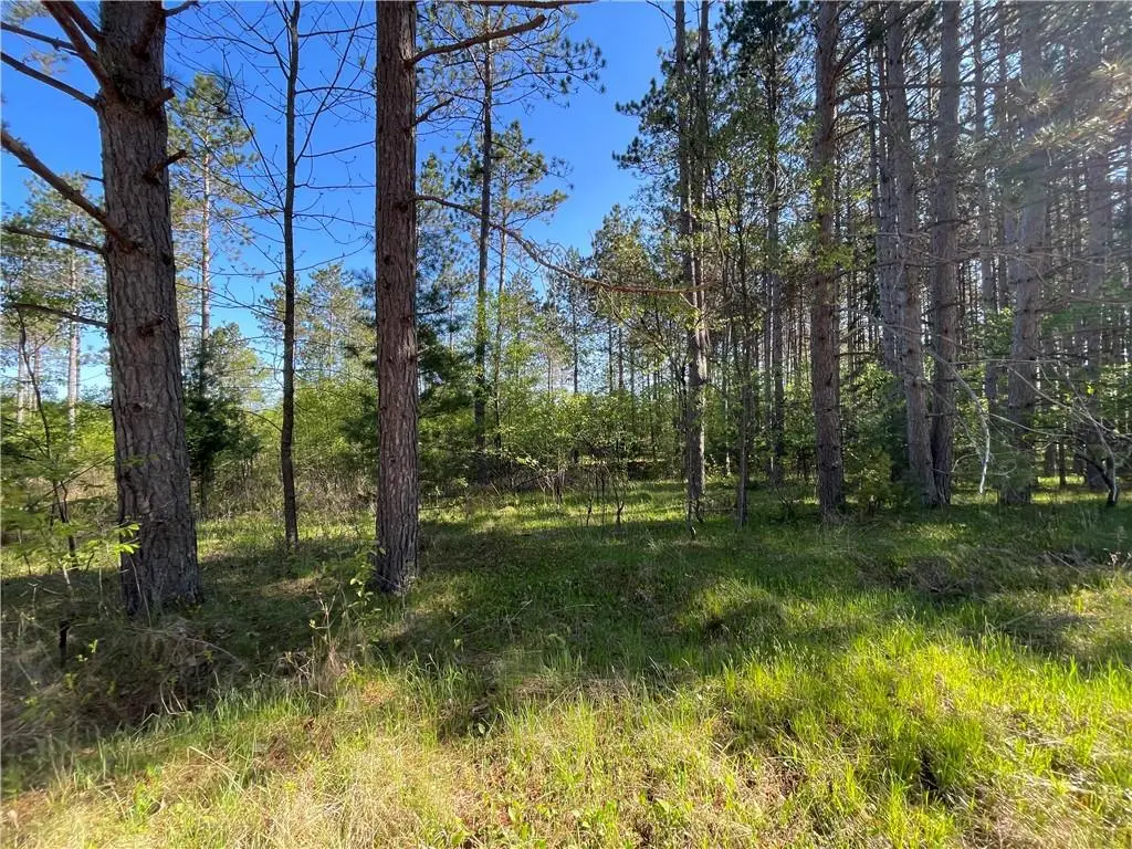 Lot 6 Hermosa Lane, Hayward, WI 54843 - Image #1