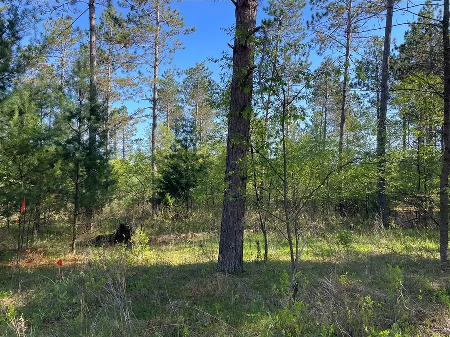 Lot 6 Hermosa Lane, Hayward, WI 54843 - Image #3