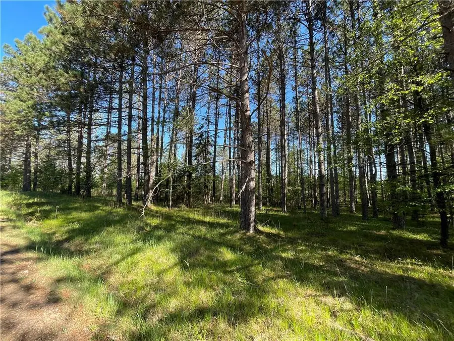 Lot 7 Hermosa Lane, Hayward, WI 54843 - Image #3