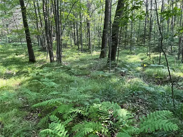 Lot 3 Falcon Ridge, Hayward, WI 54843