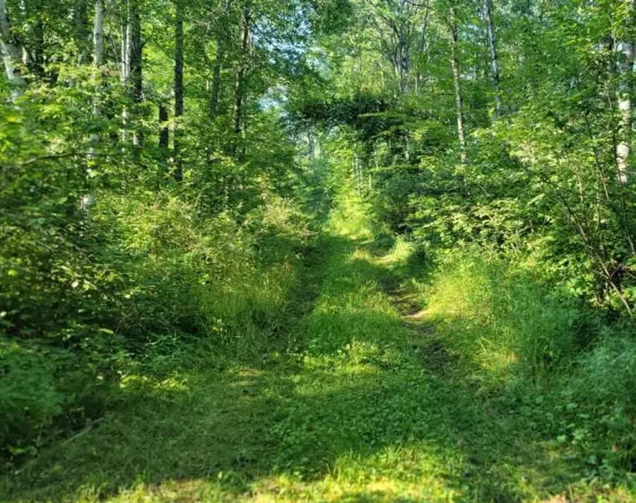 On Daisy Lane, Ojibwa, WI 54862 - #2