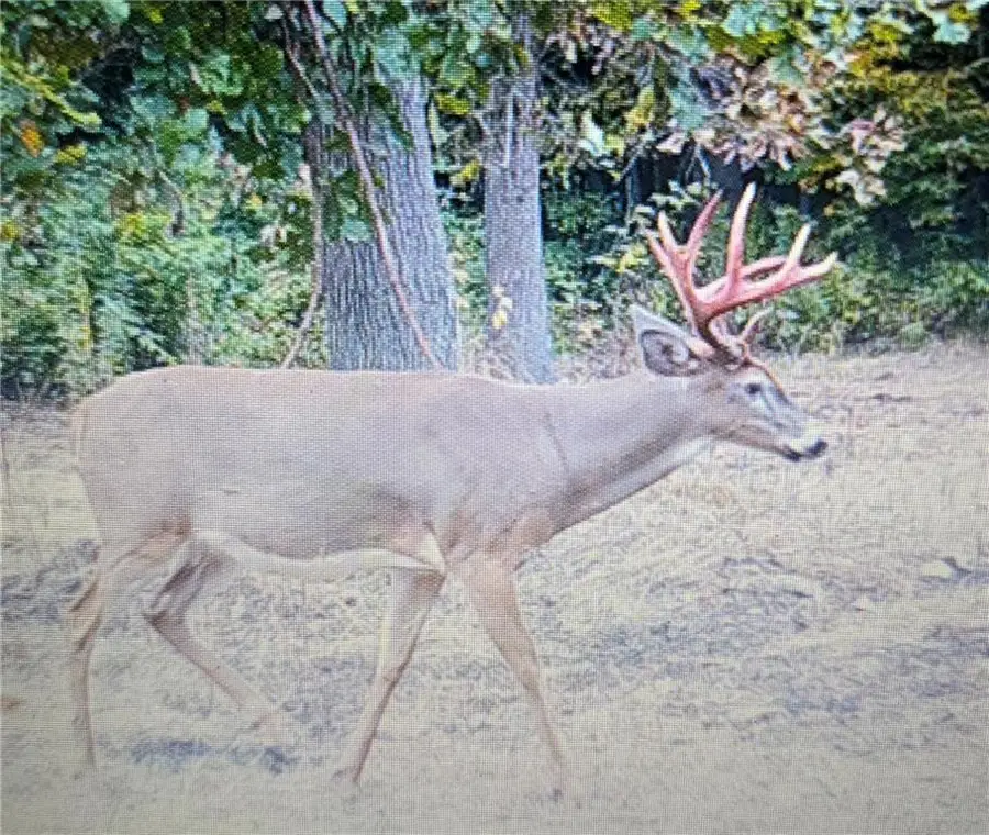 N 900 Joes Road, Conrath, WI 54731 - Image #2