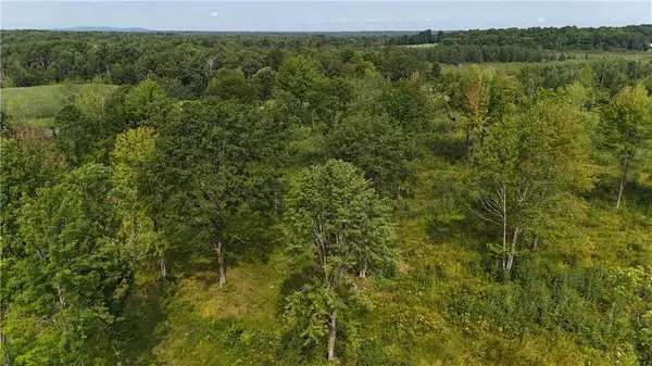 19 acres (+/-) County Highway G, Holcombe, WI 54745