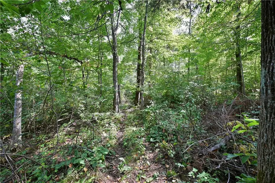 Lots 1 & 2 13 1/4 St, Rice Lake, WI 54868 - Image #3