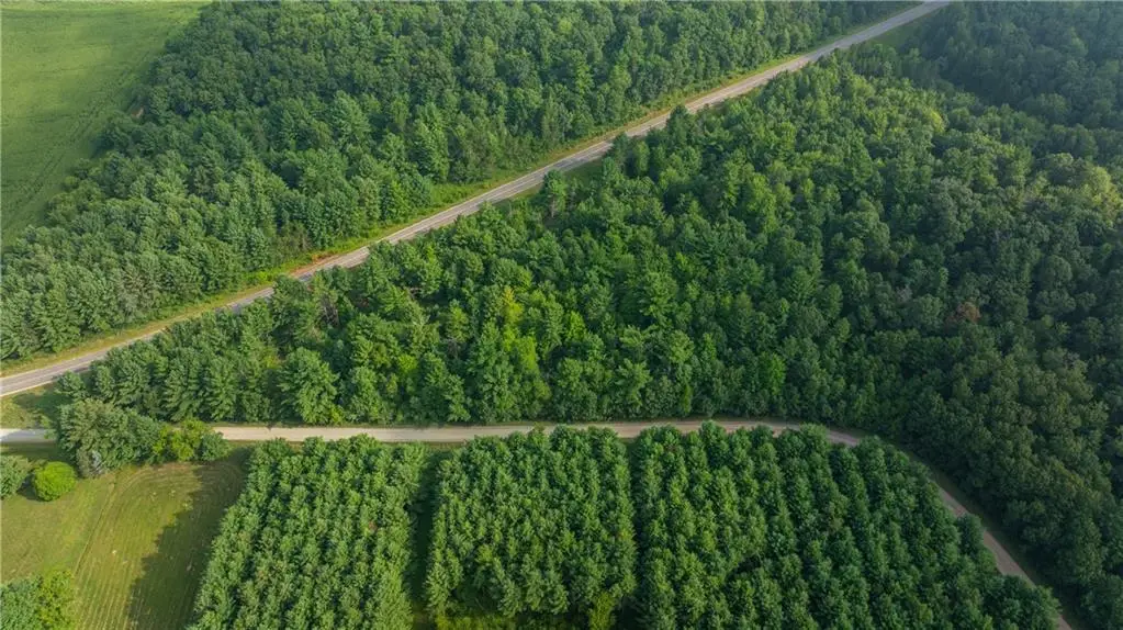 +/- 13 Acres County B / Monthei Rd., Fairchild, WI 54741 - Image #1