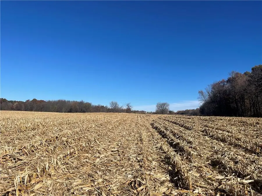 XXX 74th Street, Luck, WI 54853 - #2