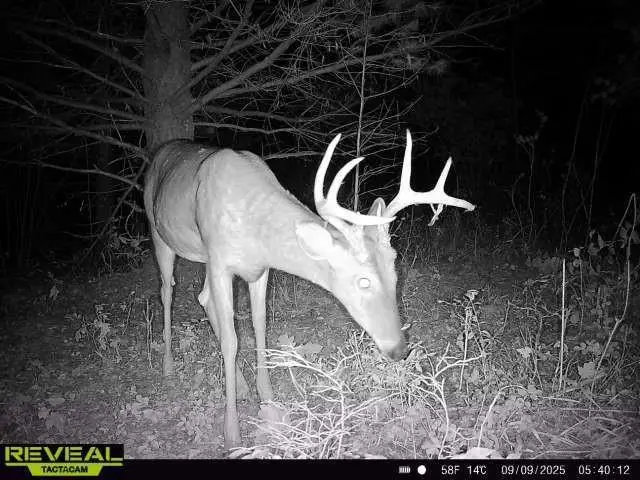 TBD State Highway 12/27, Fairchild, WI 54741 - Image #3