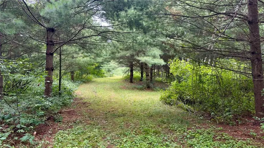 XXX County Rd F, Trego, WI 54888 - Image #2