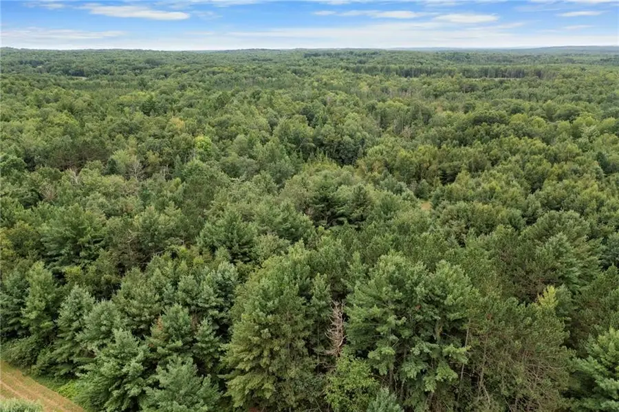 XXX County Rd F, Trego, WI 54888 - Image #3