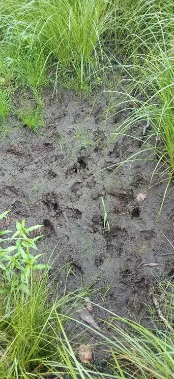 10 Ac River Rd., Boyd, WI 54726 - Image #2