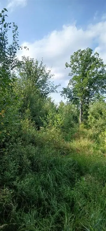 10 Ac River Rd., Boyd, WI 54726 - Image #3