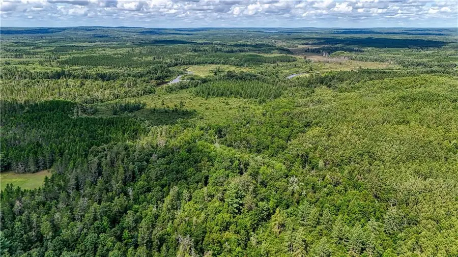 40 acres on Highway 63, Springbrook, WI 54875 - Image #3