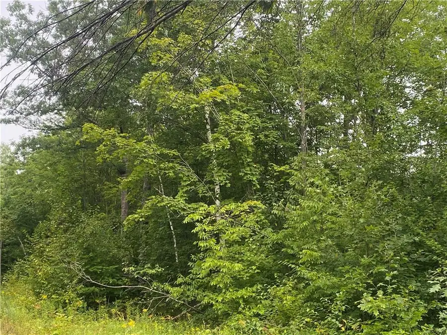 ON W County Road C, Exeland, WI 54835 - Image #3