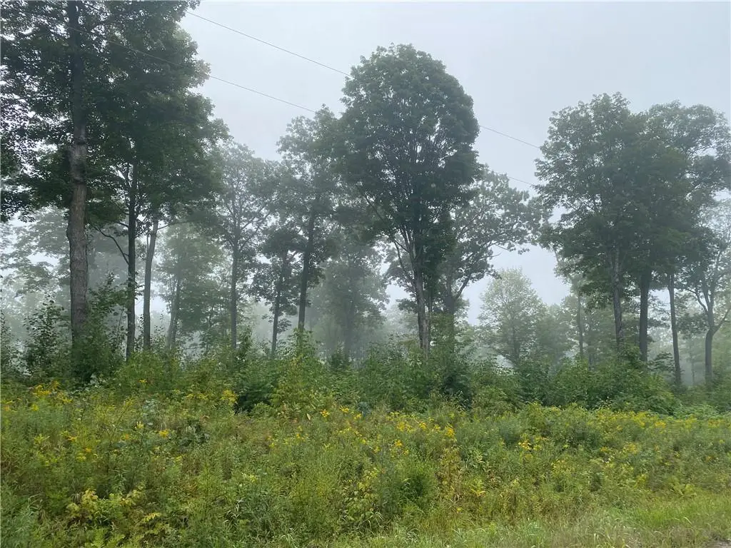 ON Zettel Road, Exeland, WI 54835 - Image #1