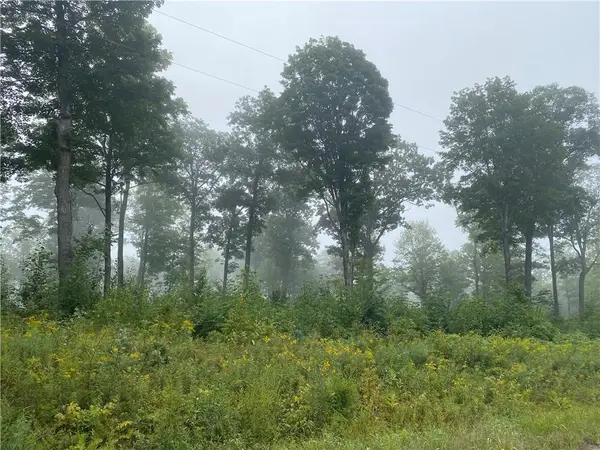 ON Zettel Road, Exeland, WI 54835