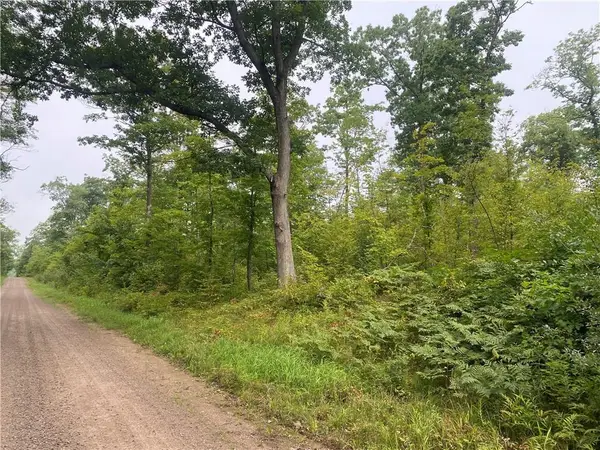 ON W Zettel Road, Exeland, WI 54835