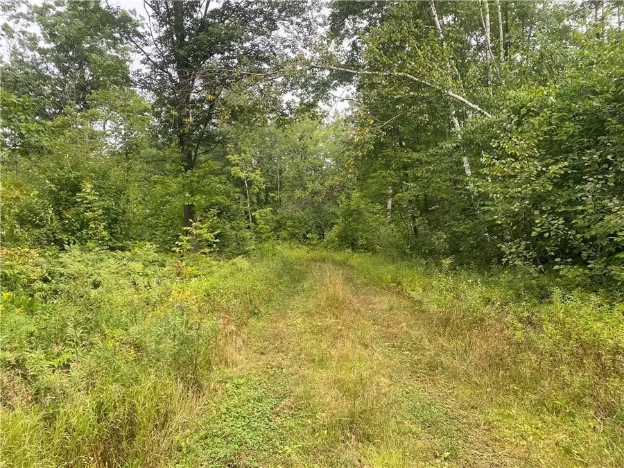 ON W Zettel Road, Exeland, WI 54835 - Image #3