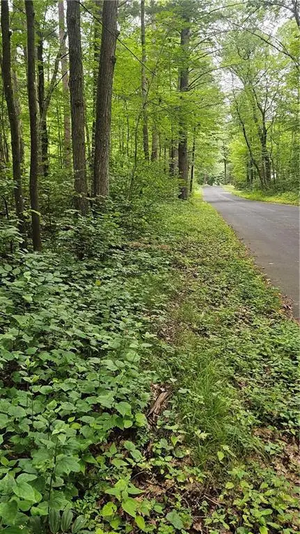 Lots 17, 18, 36-40 BLK 13 Dixon Ave, Hayward, WI 54843 - Image #3