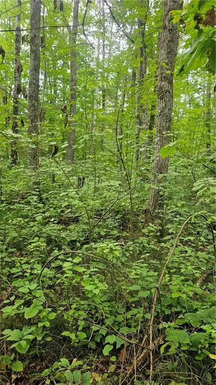 Lots 1-2, 34-40 BLK 2 County Road K, Hayward, WI 54843 - Image #3