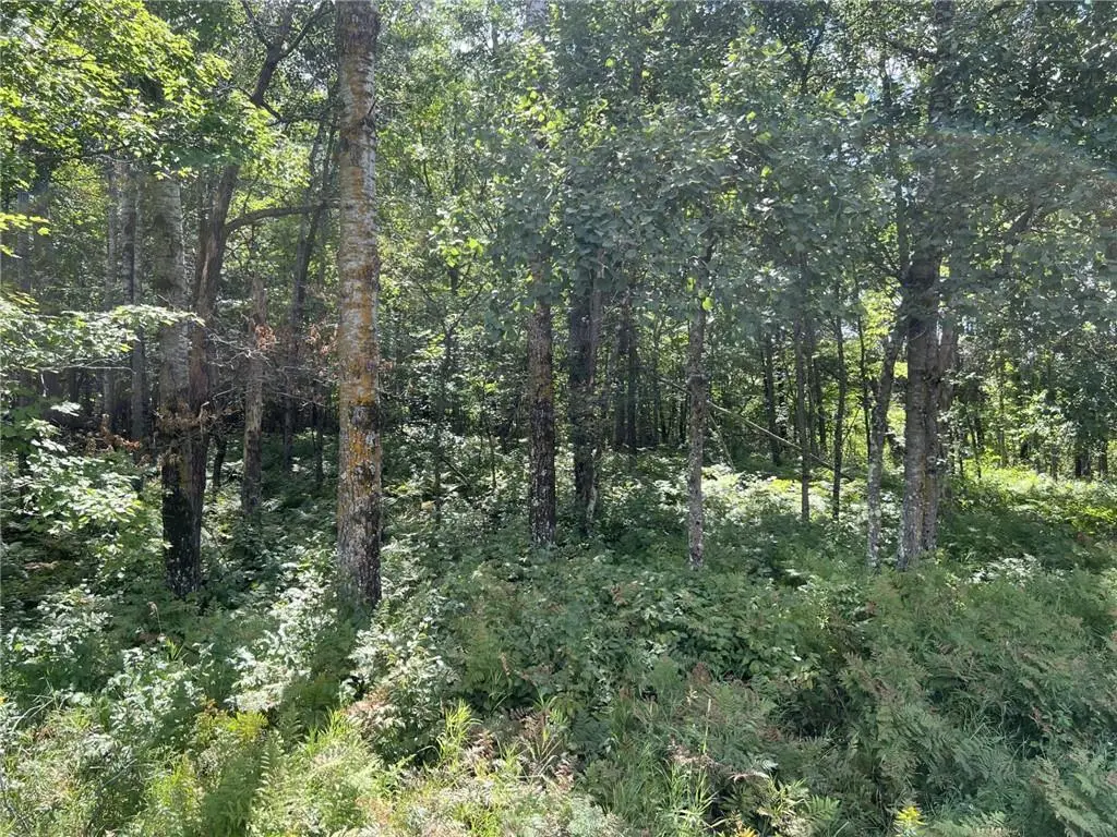 XXXX County Road B, Siren, WI 54872 - Image #1