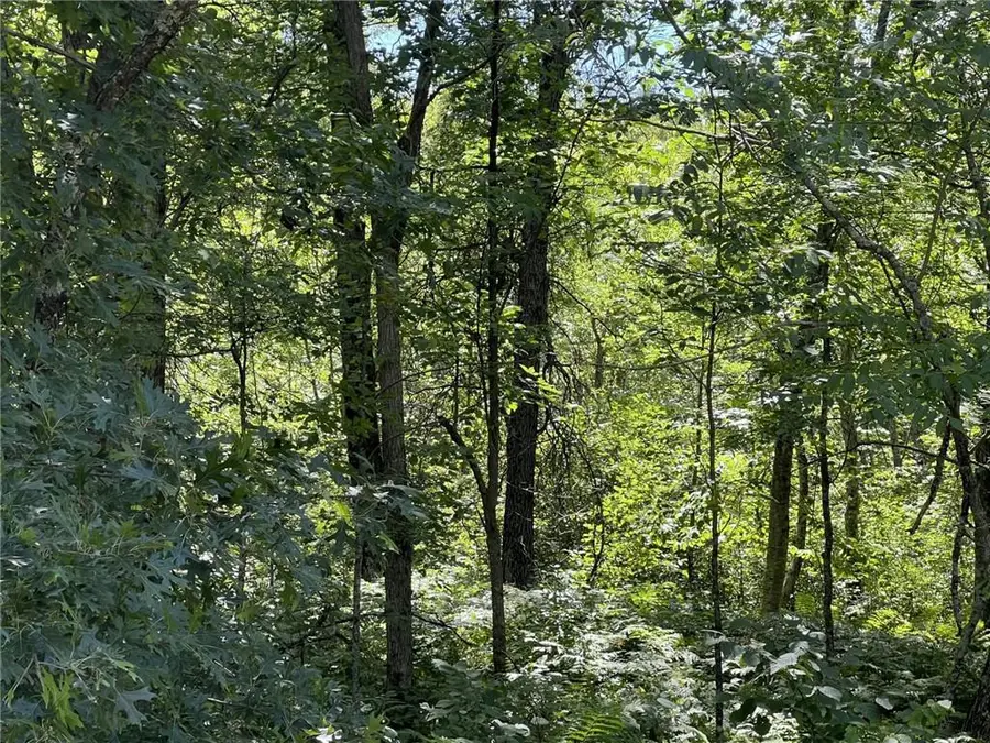 XXXX County Road B, Siren, WI 54872 - Image #3