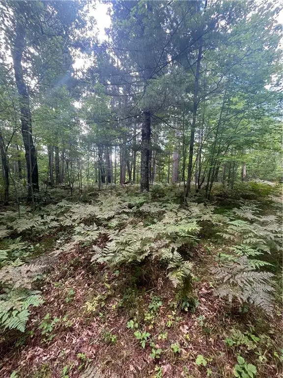 Lot 43 Deerpath Trail Way, Danbury, WI 54830 - Image #2