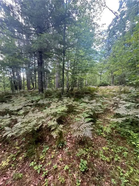 Lot 43 Deerpath Trail Way, Danbury, WI 54830 - Image #3