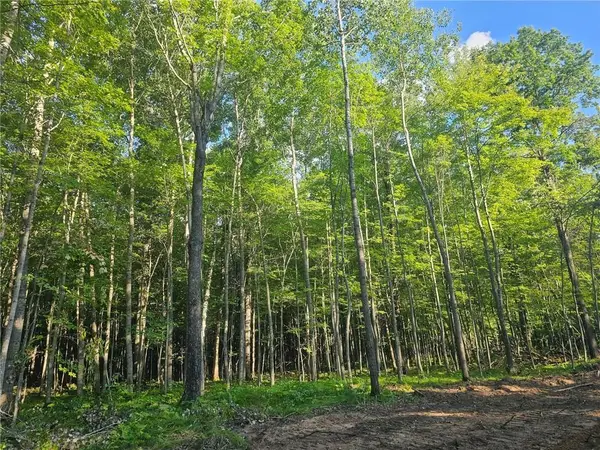 Lot 4 Ken Can Lane, Webster, WI 54893